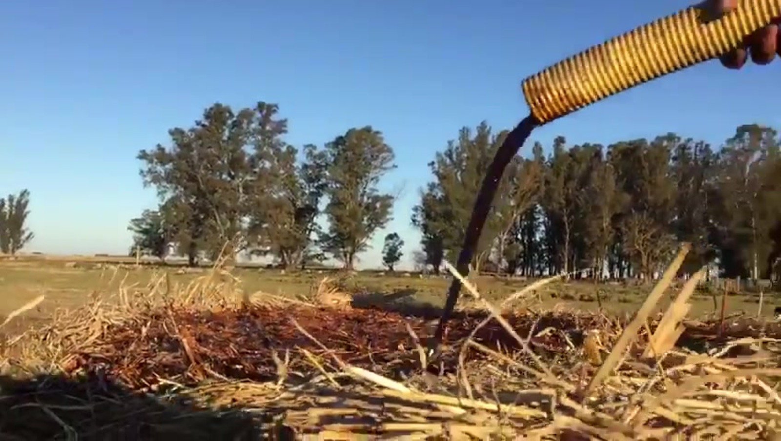 Alimento líquido distribuido en el campo